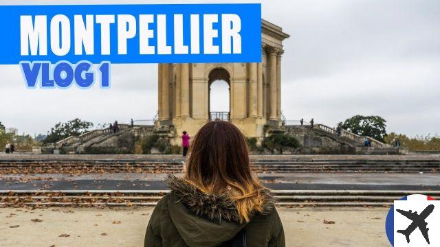¿En qué distrito se alojará en Montpellier?