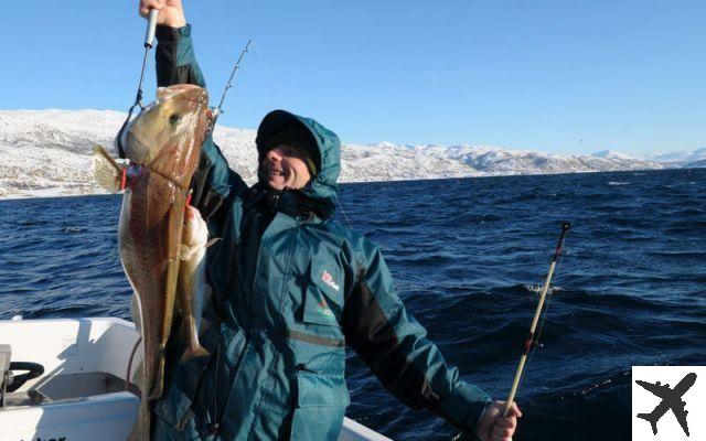 Excursiones de pesca en noruega
